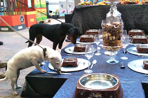 Jill en Suus aan tafel