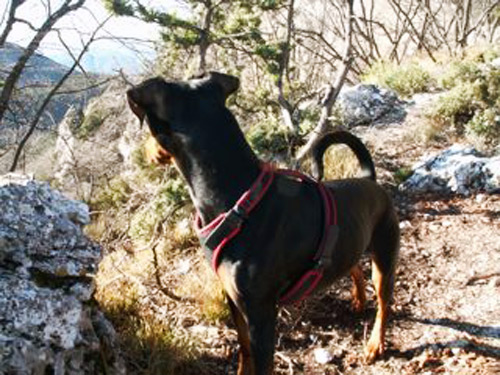 Dora vakantie Côte d'Azur