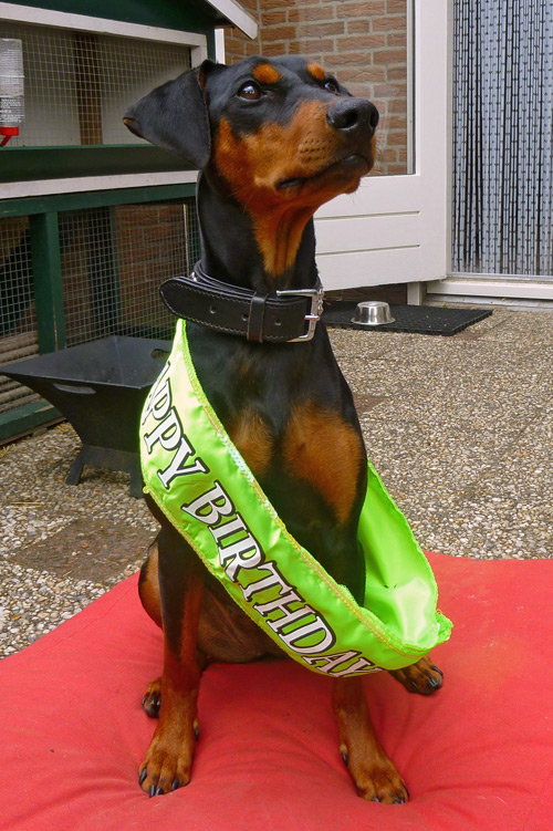 Jill 1 jaar