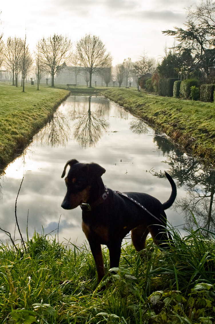 weerspiegeling