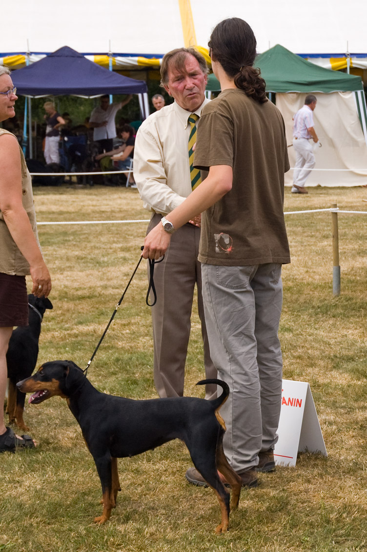 1 Uitmunted in de Open Klasse voor Duitse Pinscher Etana