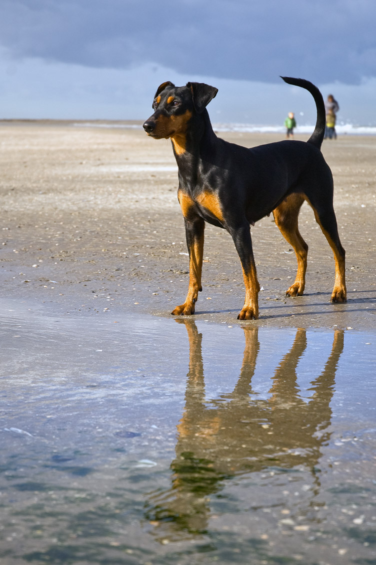 het wassende water