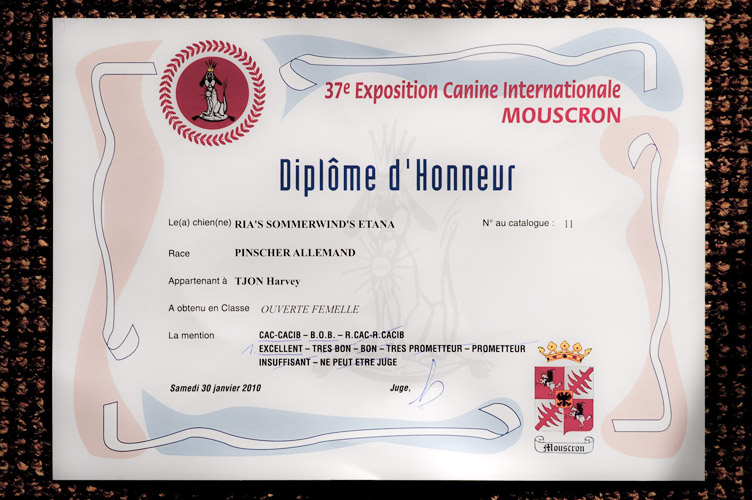 Diplôme d'Honneur Exposition Canine Internationale
