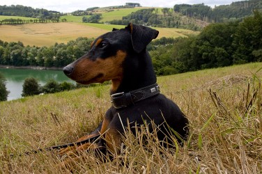 Sauerland